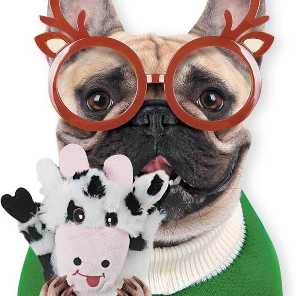 Dog Squeaky Toys 5 Pack, Pet Crinkle Toy No Stuffing Animals Plush, Dog Chew for - Picture 8 of 8